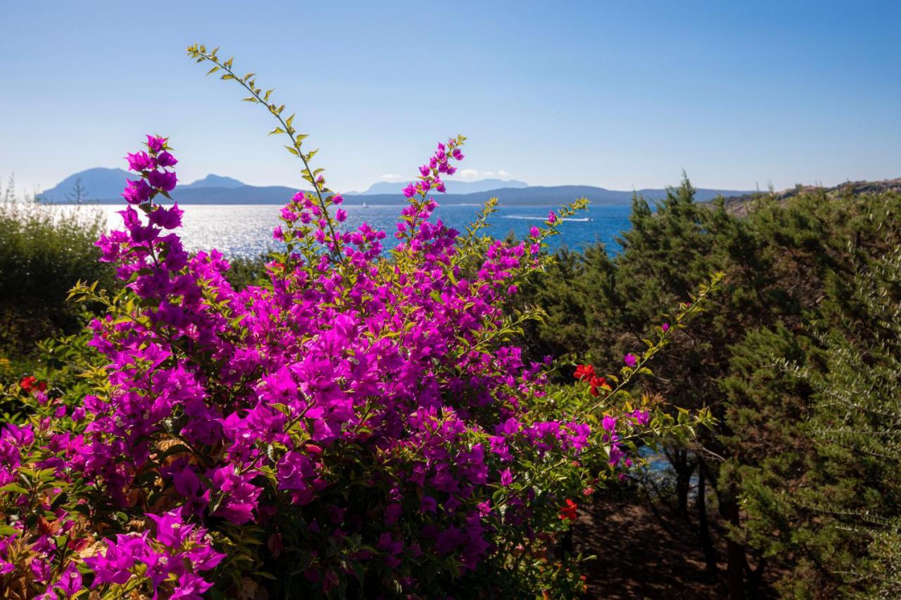 Splendido Appartamento Vista Mare Porto Rotondo Eksteriør billede